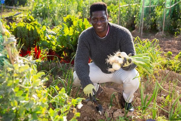Impacc Venture Program Now Open for Entrepreneurs