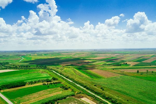 Funding Competition: Sustainable Bio-based Materials and Manufacture (UK)