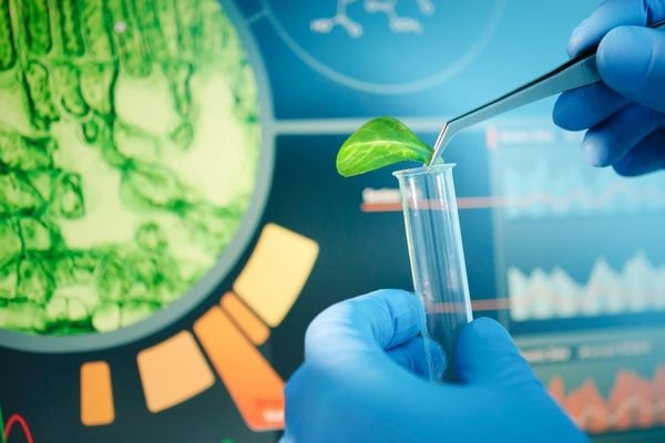 BIRAC accepts Proposals under SBIRI Scheme (India)