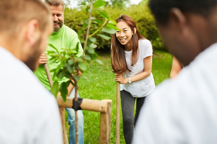 3rd Call for Proposals: Nature Based and Innovative Solutions in Saint Vincent and the Grenadines