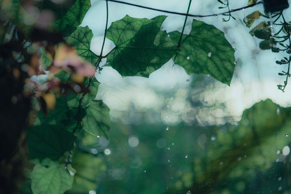 XTC Sustainability Startup Challenge at ChangeNow