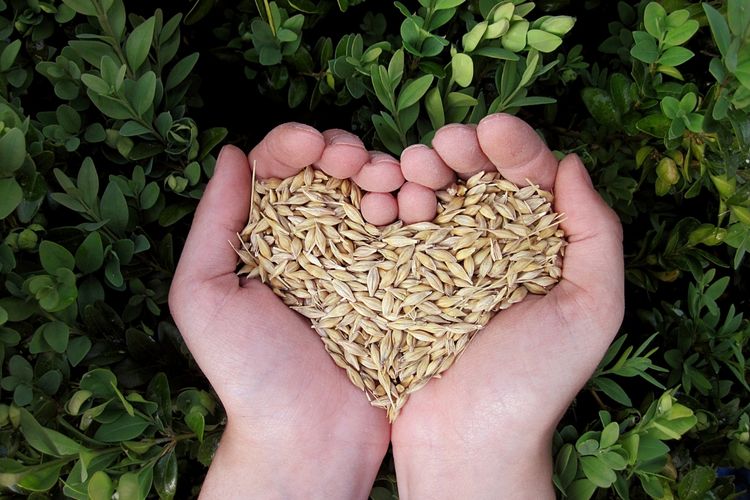 Request for Proposals: Scoping Study on Environmental Frames in Bangladesh
