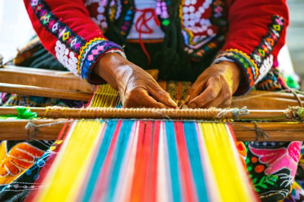 Call for Applications: WIPO Training, Mentoring and Matchmaking Program