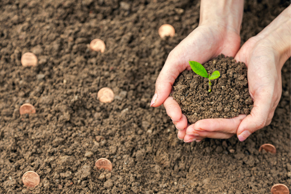 SHE Foundation Global Seed Grant Program 2023