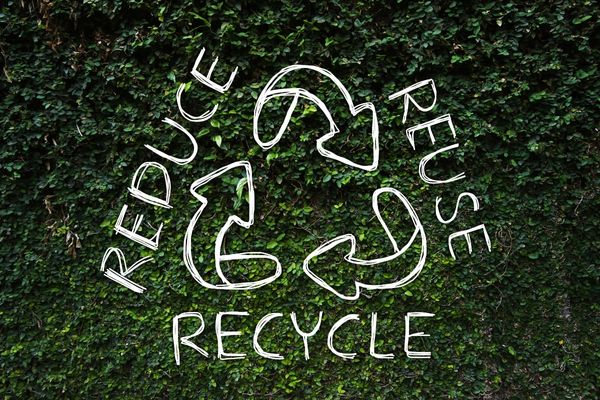 Reimagine Recycling: Solutions for Waste Collection and Recycling