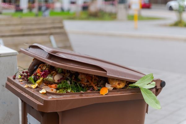 Public Call for Support in Bio-Waste Management (Serbia)