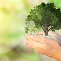 Call for Proposals: Bio-Bridge Initiative’s Seed Funding Program