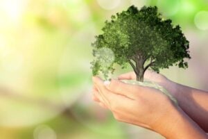 Call for Proposals: Bio-Bridge Initiative’s Seed Funding Program