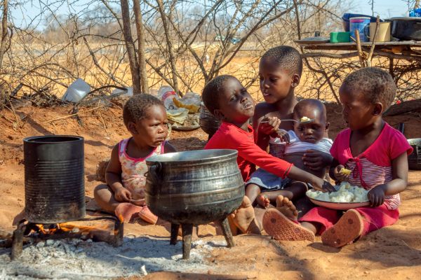 Integrated Approach to Sustainable Cooking Solutions Programme in Tanzania