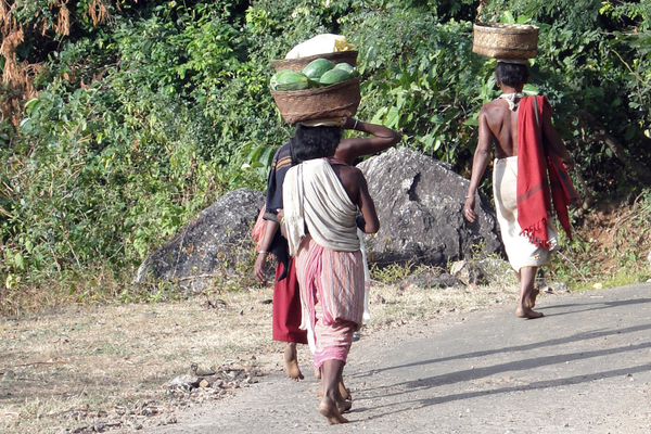 Call for Proposals to Support CSOs based in the DRC
