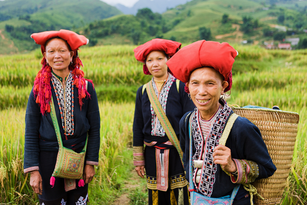 IDB’s Regional Public Goods Initiative focusing on Food Security, Climate Change Mitigation, and more...
