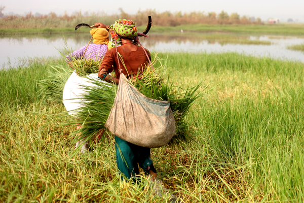 MCST-TÜBİTAK 2023 Joint Call for Project Proposals (Malta & Turkey)