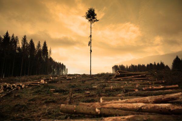 Call for Proposals GEF SGP Operational Phase 7 in Moldova