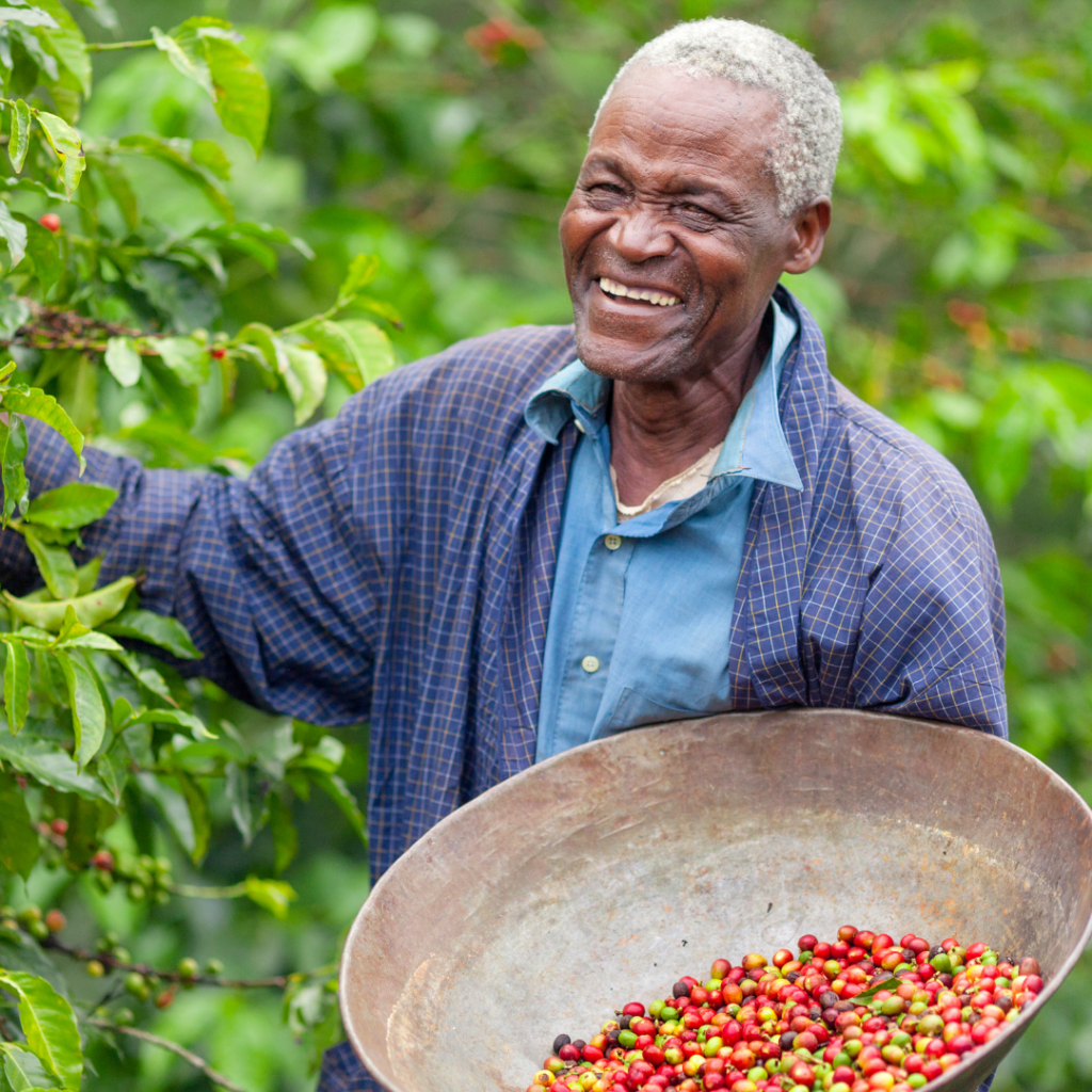 Cultivating Inclusion for Food Security Fellowship Program in Africa and Haiti