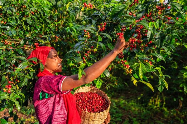 UNDP-GEF Small Grant Program: Calls for Proposals 2023 (Ghana)