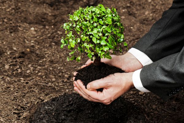 Darwin Plus Local Funding Scheme (Round 2)