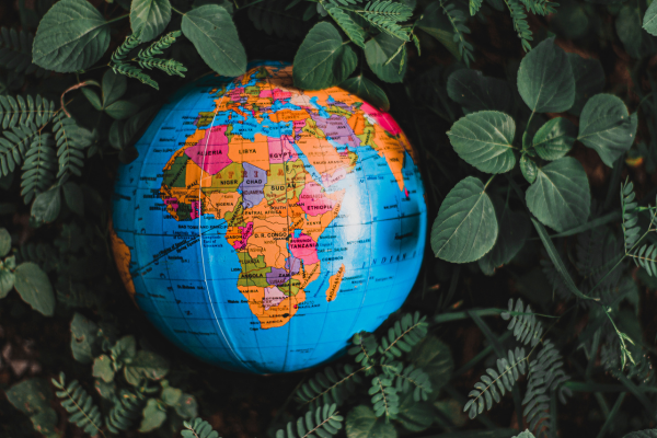 Green Transition Challenge: Get a Chance to Join the EDF Pulse Africa Program