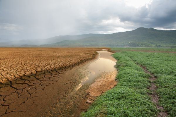 Apply for Groundswell Grant Program - Australia