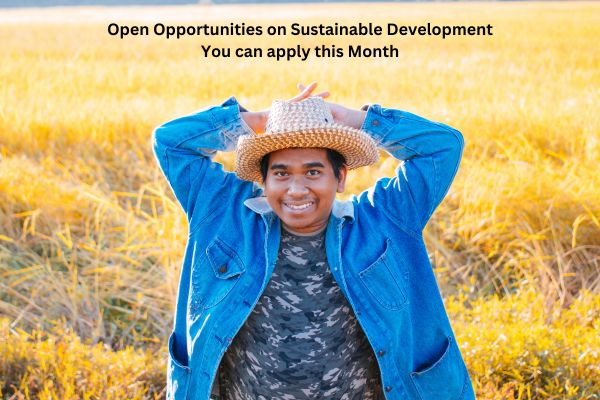 Sustainable Development Grants for NGOs, Young Professionals, and Startups
