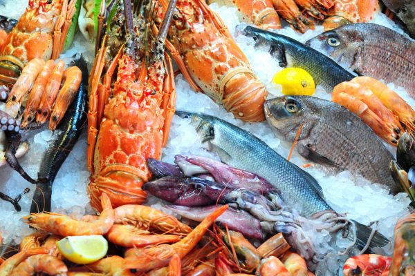 Up to £3 million available under Seafood Fund: Skills and Training Scheme (UK)