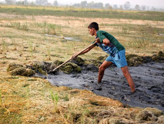 Call for Concept Notes: Economics of Natural Resource Use and Environmental Change