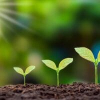Eswatini Environment Fund Program 2024/2025 - fundsforNGOs Eswatini Environment Fund Program 2024/2025
