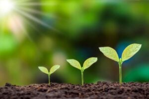 Eswatini Environment Fund Program 2024/2025