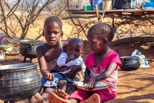 Integrated Approach to Sustainable Cooking Solutions Programme in Tanzania