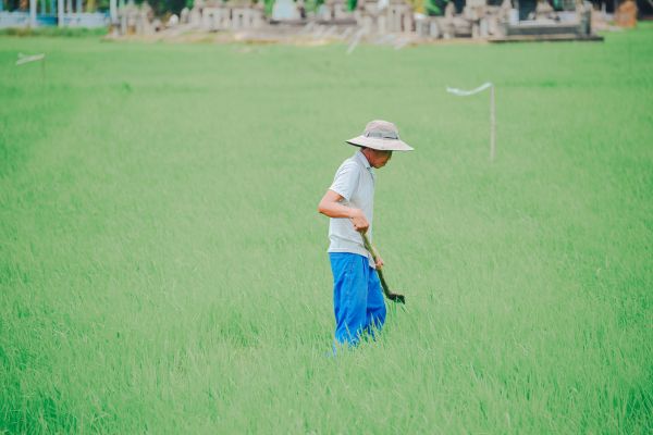 Call for Small Projects to support Rural & Small Area Development in the Baltic Region