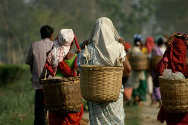 The Canada Fund for Local Initiatives – Mauritius (2023)