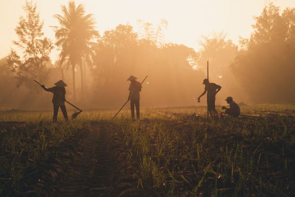 Call for Proposals: Impact Finance for Global Value Chain to support SMEs in the Commodity Sector