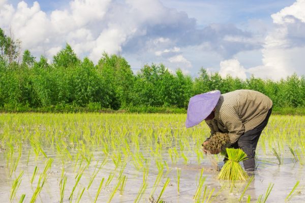 UK: Farming Innovation Programme - Feasibility (Round 3)