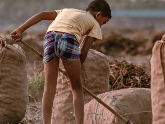 Call for Project Proposals to address Land Degradation and Climate Change in Botswana