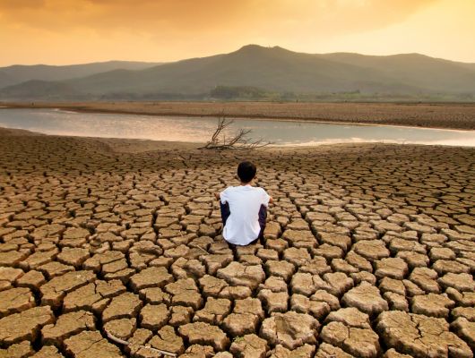 Open Call for EKOenergy’s Climate Fund
