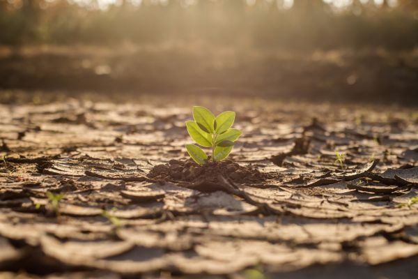 Submit Proposals for Capacity-building Projects supporting Just Transition Ambitions in South Africa