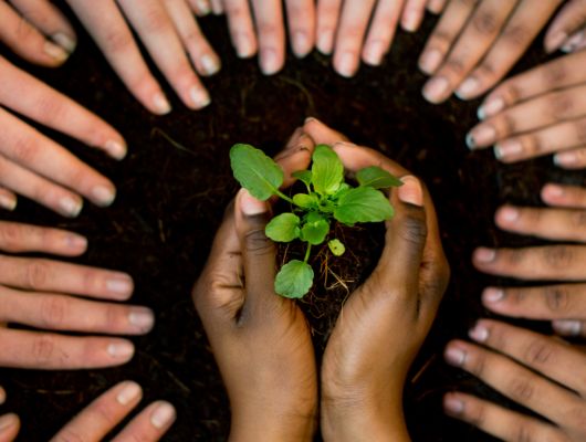 Applications open for DOC Community Fund in New Zealand