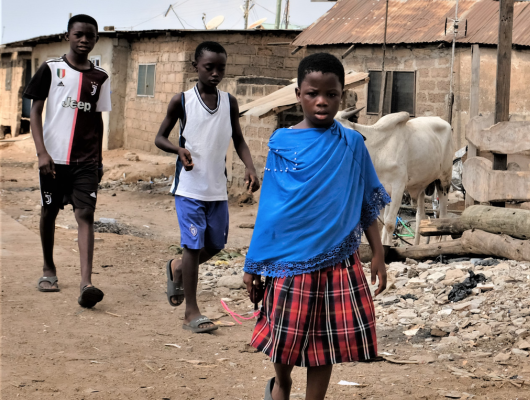 Call for Proposals: KBF Africa Prize 2025-2026
