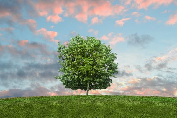 2023 Call for Proposals to Advance Transformative Change in Key Sectors