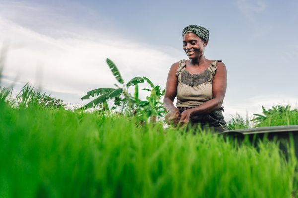 USAID Grant Call for Local Youth-Lead or Youth-Serving Organization in Kenya