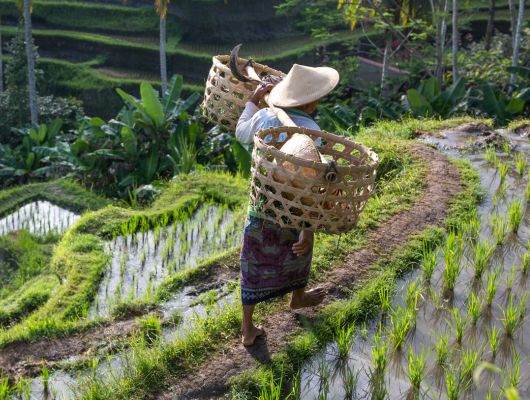 Call for Concept Notes: Matching Grant Fund (MGF)