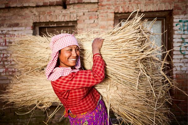 Call for Applications: Public Acceleration Challenge Fund - Nepal