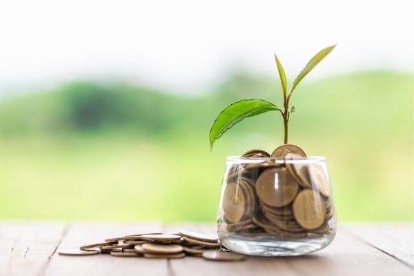 Applications open for Trefoil Organisational Grants (United Kingdom)
