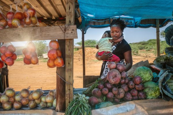 “Resilient, Inclusive and Sustainable Environments” Grants Challenge