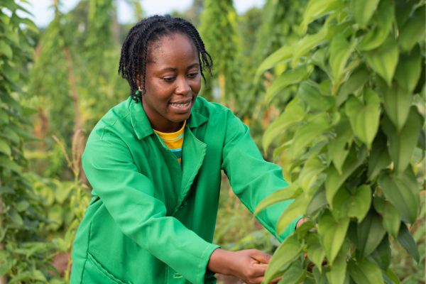Open call for Micro Grants to empower African and Caribbean Women