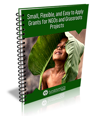 Small, Flexible, and Easy to Apply Grants for NGOs and Grassroots Projects 