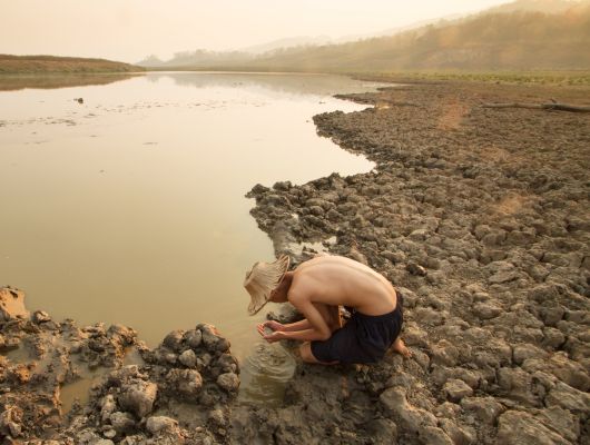 Call for Proposals: EKOenergy’s Climate Fund
