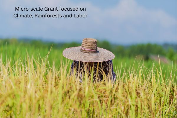 Pulitzer Center announces Impact Seed Funding 2023