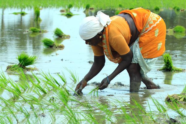 DCM Shriram AgWater Challenge