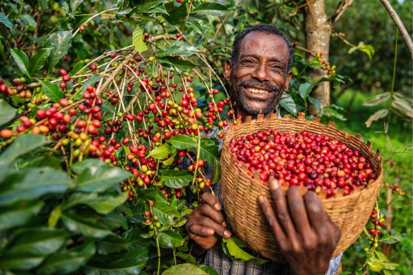 Call for Project Concept Notes for funding through GEF Small Grants Programme - Tanzania