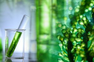 Small Grant Available for Biodiversity Conservations & Sustainable Agriculture